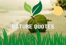 60 impressive and Inspiring Quotes About Nature Quotes about nature