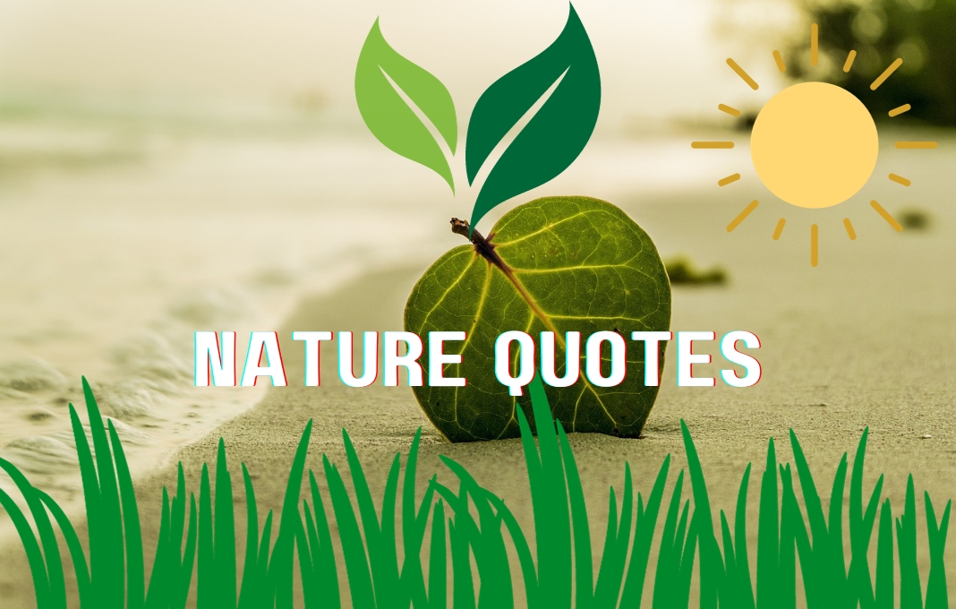 NATURE QUOTES