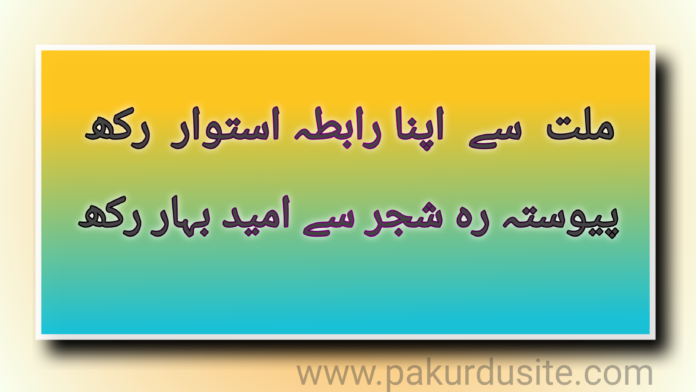 علامہ اقبال کا مشہور شعر