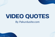 Motivational Quotes in Video Format : 50 plus most demanded and beautiful quotes beautiful quotes in video format